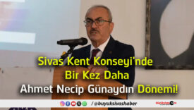 dönem 1
