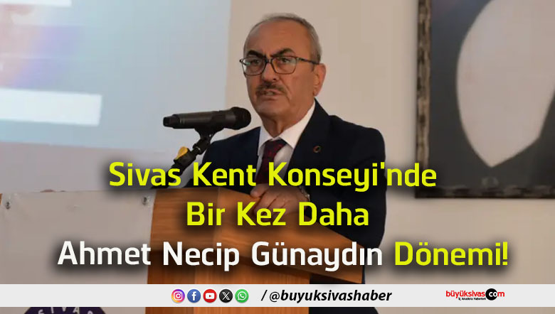 dönem 1