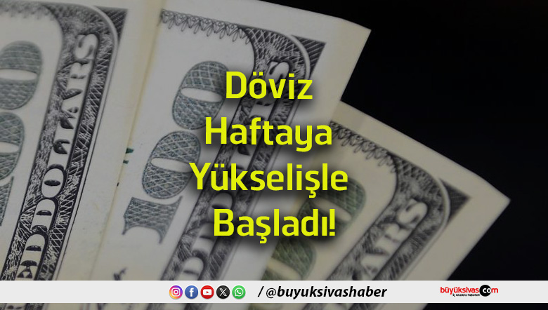 döviz