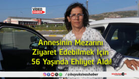 ehliyet
