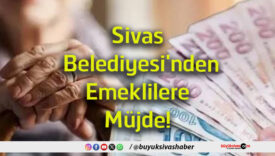 emekli