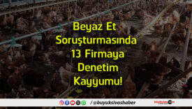 firmaya