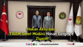 gerginç