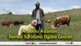 getirdi