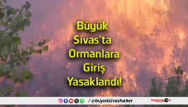 giriş