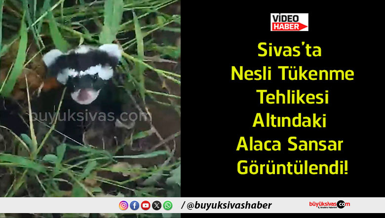 görüntülendi