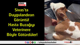 götürdütler