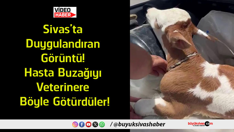 götürdütler