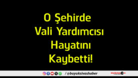 hayat