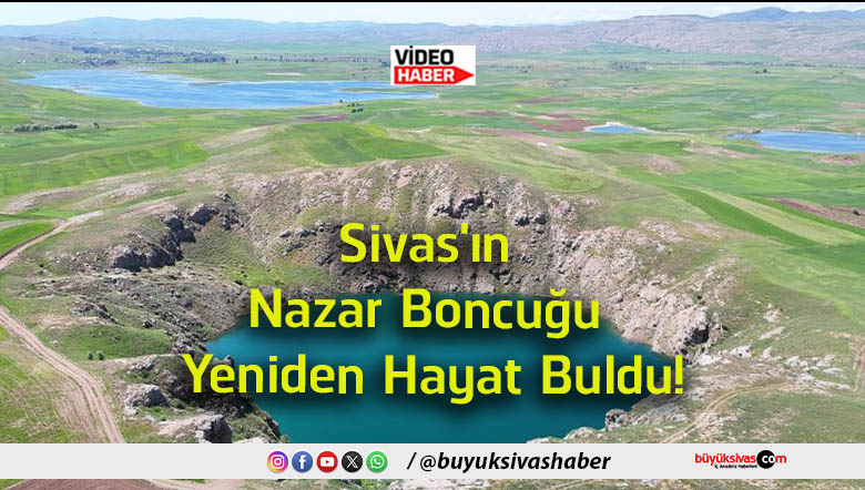 hayat