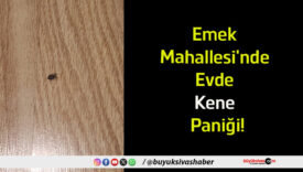 kene