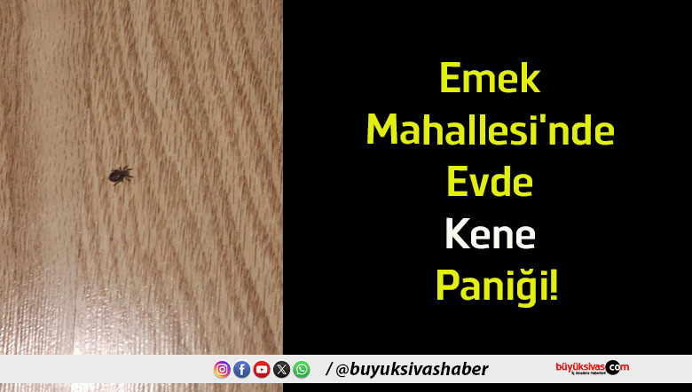 kene