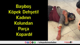kopardı