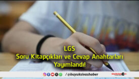 lgs