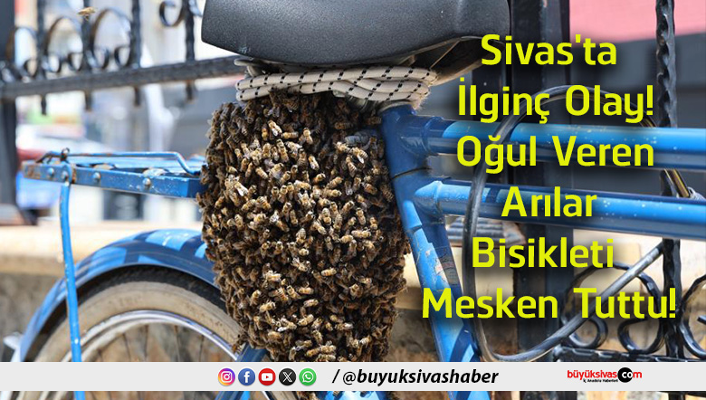 mesken