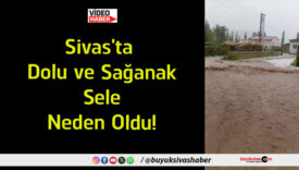 neden