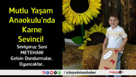 oyun