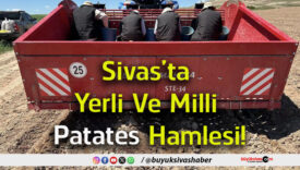patates