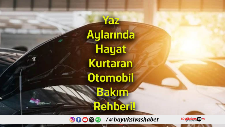rehber