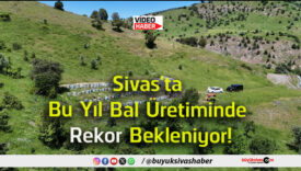 rekor