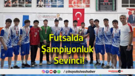 şampiyonluk
