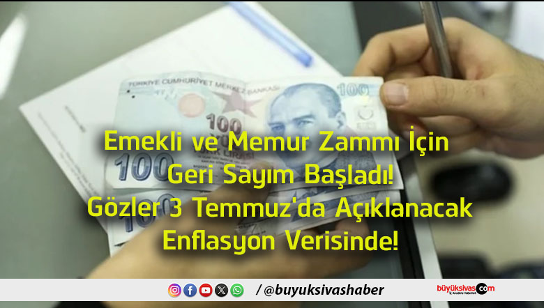 sayım