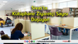 sayısı