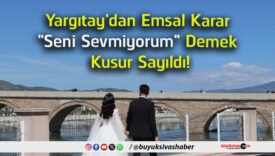 sevmiyorum