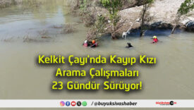 sürü