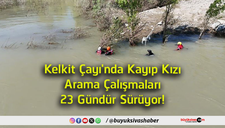 sürü
