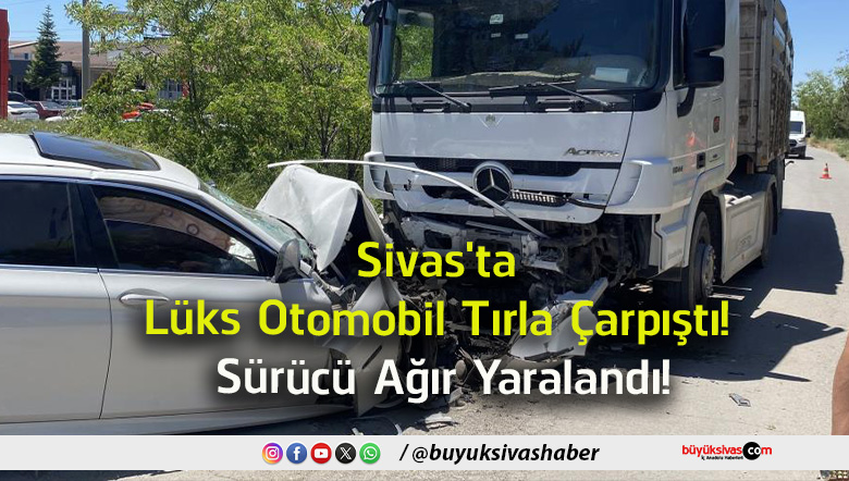 sürücü