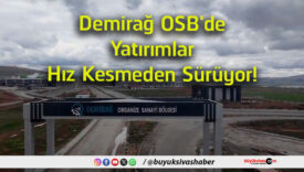 sürüyor