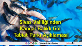 tabiat