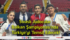 temsil edecek