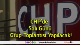 toplantıs