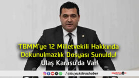 ulaş Karasu