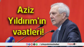 vaat