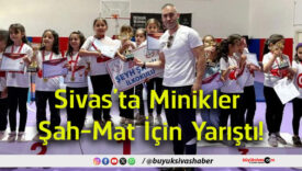 yarıştı