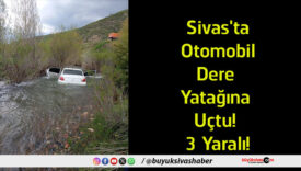 yatağına