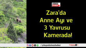 yav