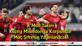 yayınlanacak
