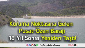 yıl