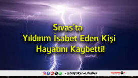 yıldırı