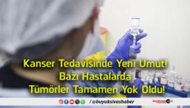 yok