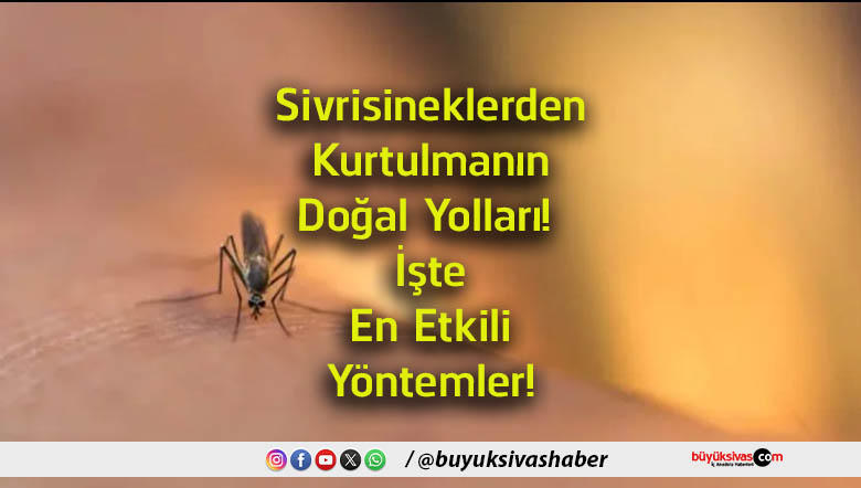 yöntem