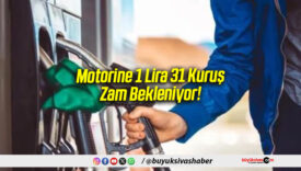 1 Lira 31 Kuruş