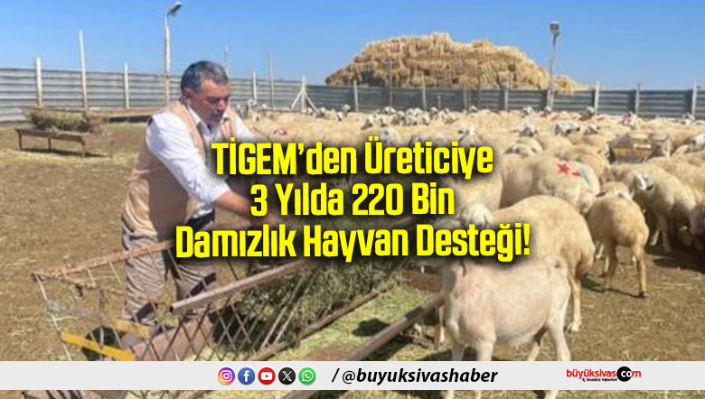 3 Yılda 220 Bin Damızlık