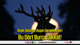 Bu Dört