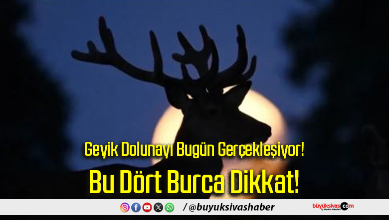 Bu Dört