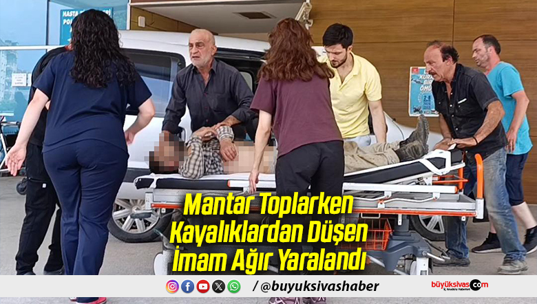Mantar Toplarken